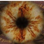 f905653f3f2d93136cbb6cf4c6122379