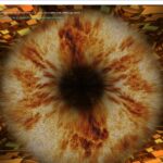 19903529d6f82708104dc2c01b69c9a3