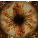 3221ad6e608cab55f1ae280709cee8ed