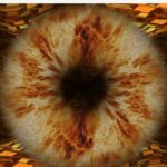 56a2d4b78820bbeab769990dc3cbae67